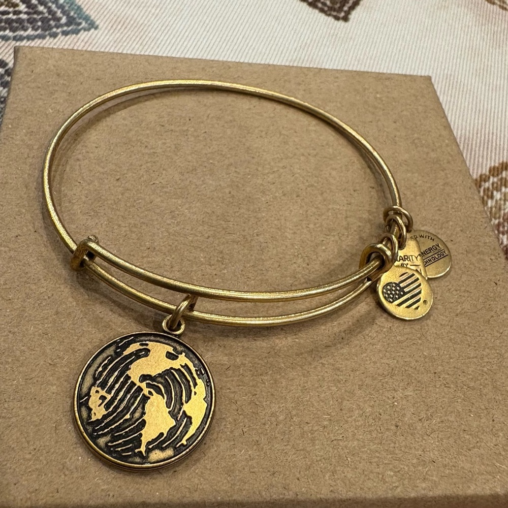 Alex and Ani America's Map Charm Expandable Bracelet